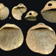 Illustration for article titled New Evidence That Neandertals Wore Shell Jewelry And Painted
